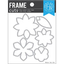 Hero Arts Frame Cuts Dies - Pop Art Flowers*