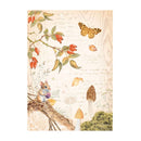 Stamperia Rice Paper Sheet A4 - Woodland - Butterfly