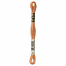 DMC Stranded Cotton 8m - 402*