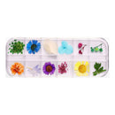 Poppy Crafts Dried Flowers Kit