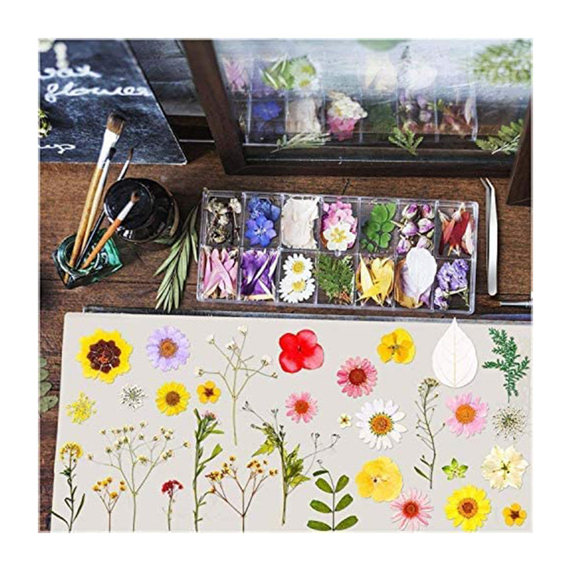 Poppy Crafts Dried Flowers Kit