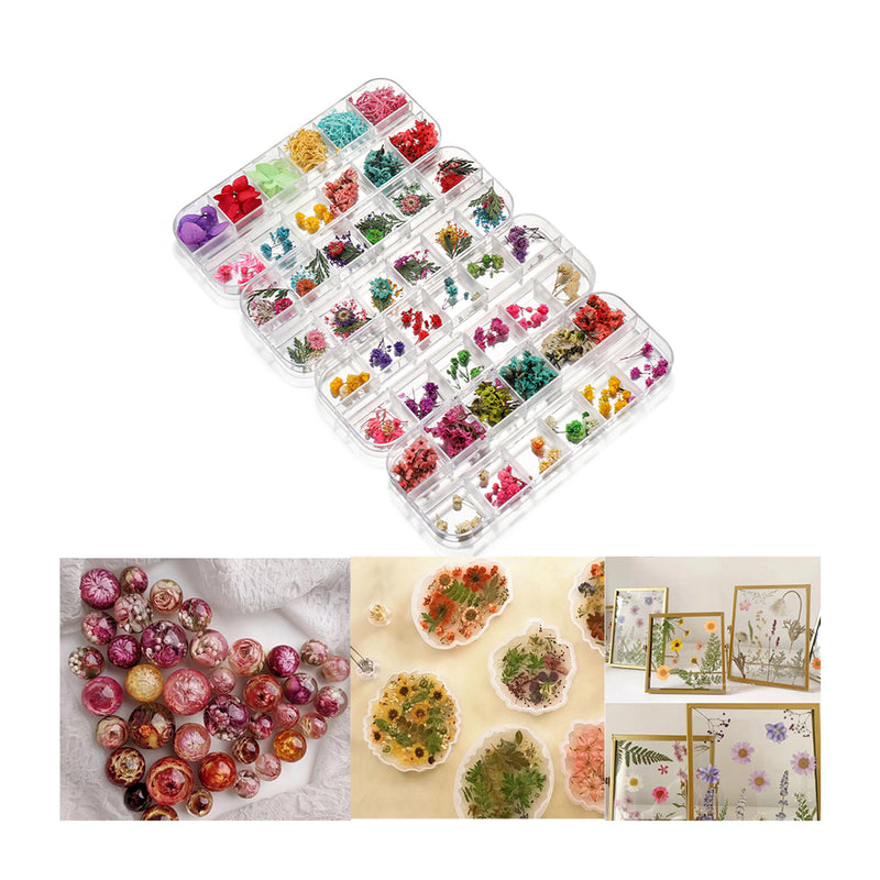 Poppy Crafts Dried Flowers Kit