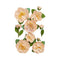 Prima Marketing Mulberry Paper Flowers - Peach Iced Tea/Peach Tea*