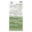 P13 There Is No Planet B Cardstock Stickers 4"x 9"