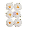 Prima Marketing Mulberry Paper Flowers - Floral Song/Spring Abstract*