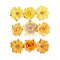 Prima Marketing Paper Flowers 9/Pkg Warm Sunshine, In Full Bloom