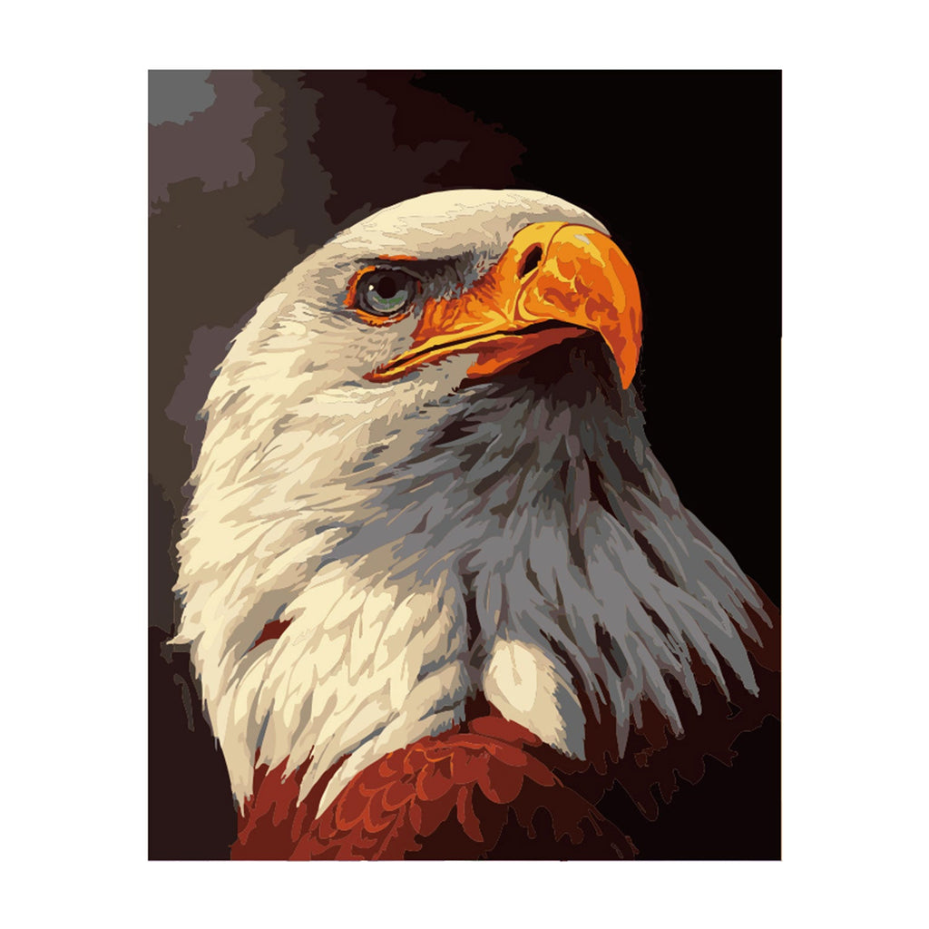 Poppy Crafts Paint By Numbers 16x20inch - Bald Eagle* – CraftOnline