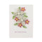 Poppy Crafts Quilling Kit - A5 Greeting Card #2 - Best Wishes For You*