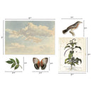 Tim Holtz Idea-Ology Layers Die-Cuts (45-pack) - Organic