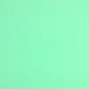 ColorPlan 100lb Cover Solid Cardstock 12in x 12in 10 pack - Park Green*