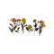 Poppy Crafts Weekend Flower Shop Stickers - 6 Pack - Sunflowers #4*