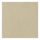 American Crafts 12Inx12in Textured Cardstock - Sand  - Single Sheet