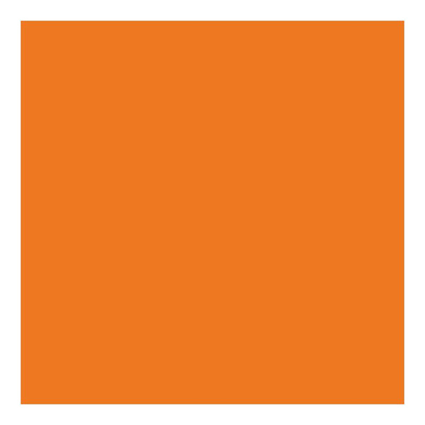 DecoArt - Stylin Paint 2oz - Orange*