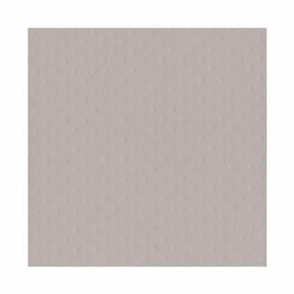 Bazzill Dotted Swiss Cardstock 12In. X12in.  Front Porch/ Grey