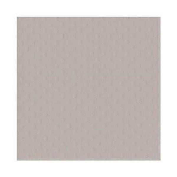 Bazzill Dotted Swiss Cardstock 12In. X12in.  Front Porch/ Grey