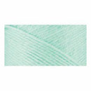 Caron Simply Soft Solids Yarn - Soft Green - (142 grams) 250 yards