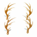 Eyelet Outlet Shape Brads 12 pack Antler