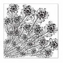 Hambly Screen Prints - Peacock Feathers Overlay - Black (Pack Of 5)