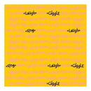 Heidi Grace Designs - Spectrum Pyo Expressions 12X12 Paper (Pack Of 10)