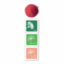 Hero Arts Embossing Powder & Ink Cubes Holly