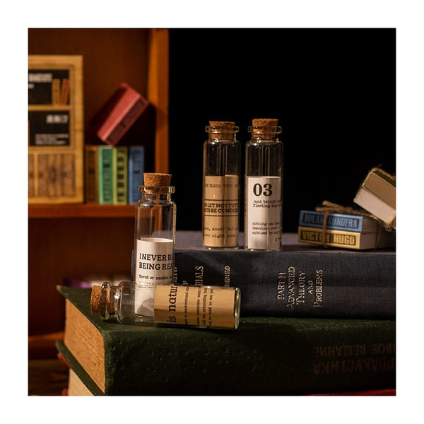 Poppy Crafts Celebrity Bookcase Collection - Victor Hugo*