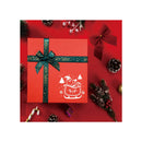 Poppy Crafts Stencil Kit