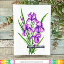 Waffle Flower Die - Iris You*