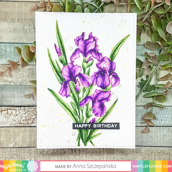 Waffle Flower Die - Iris You*