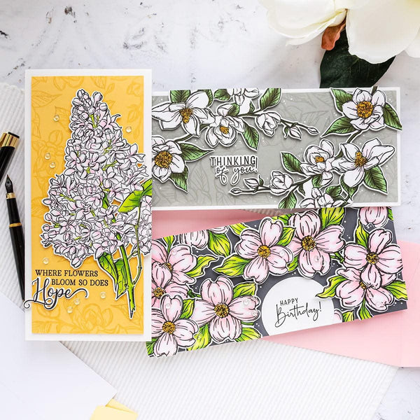 Colorado Craft Company Metal Die Set - Thinking Of You Magnolias-Big & Bold*